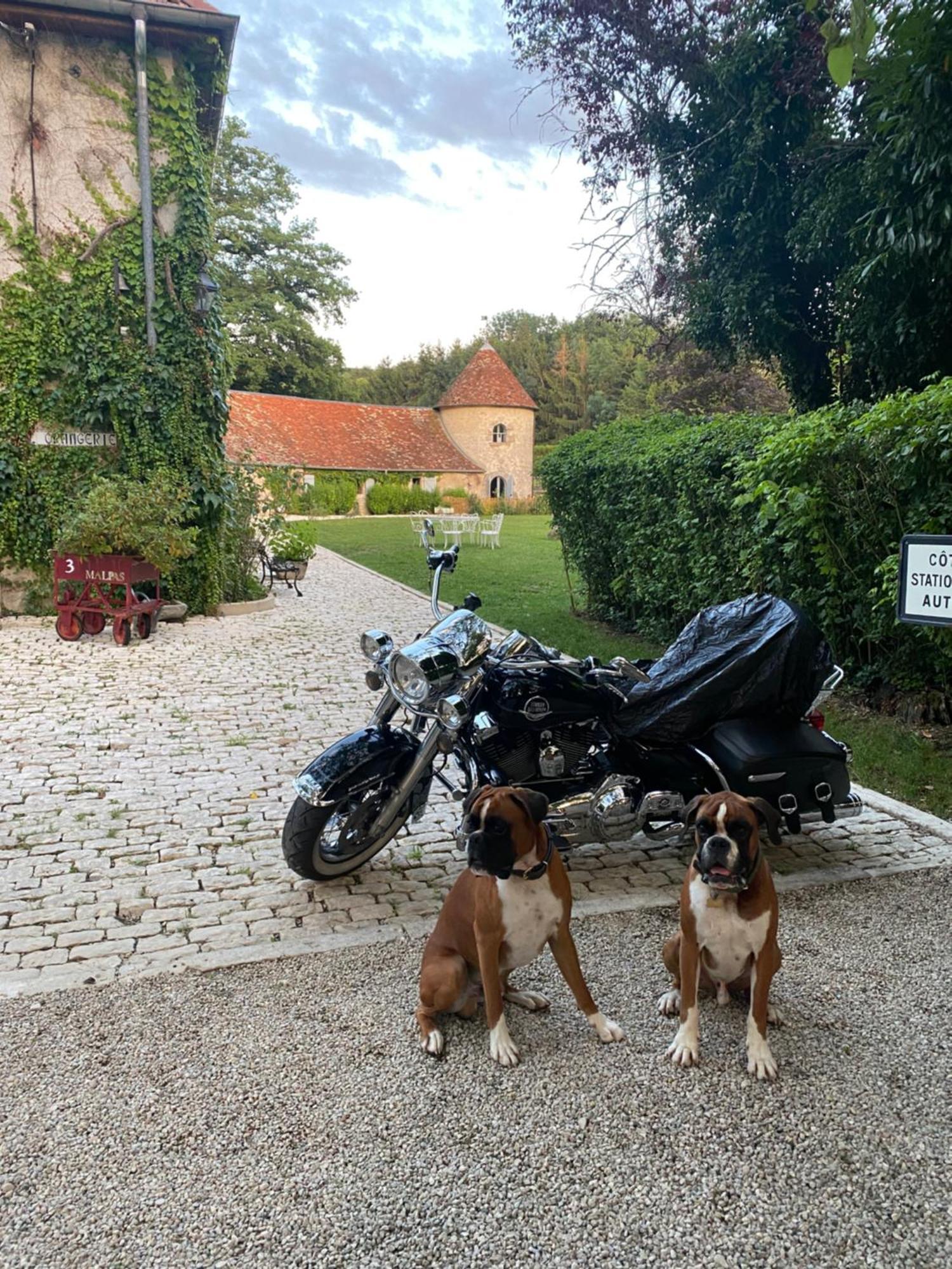 Le Colombier De Malpas Bed and Breakfast Quingey Exteriör bild